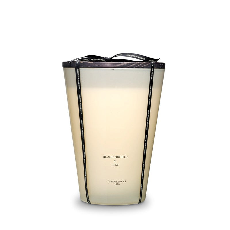 VELA XXL BLACK ORCHID & LILY (3,5KG)